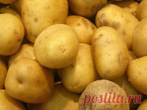 Картофельная аптека |