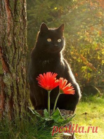 Beautiful 📷