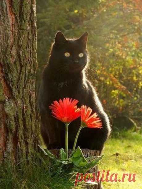 Beautiful 📷