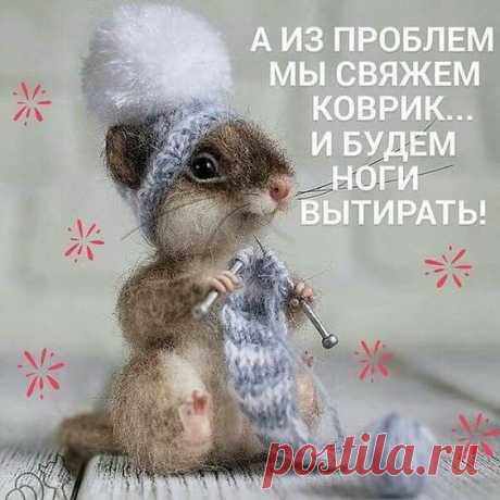 (344) Pinterest