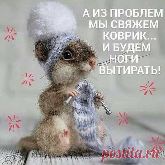 (344) Pinterest