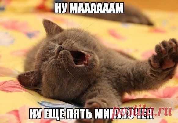Диалоги