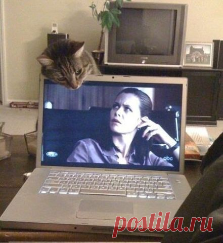 удачный кадр...