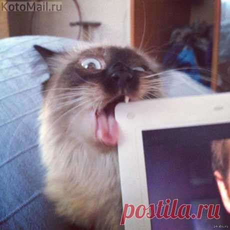 Включаю легко и просто)))