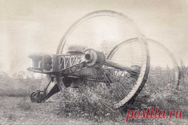 Первая мировая война 1914-1918 гг.: начало, причины, участники, эрцгерцог Франц Фердинанд, Гаврило Принцип, сараевское убийство | История