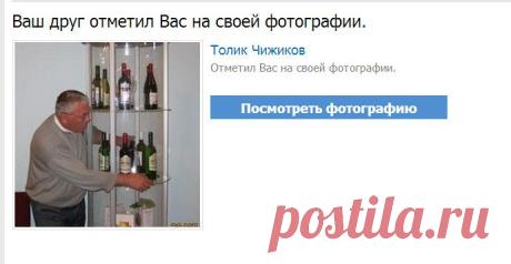 Жить интересно! - Круг друзей