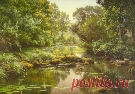 Игра света и воды в лесных пейзажах