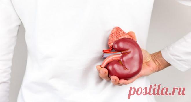 Если ваши почки находятся в опасности, тело даст вам эти 6 знаков 


Будьте внимательны!







 


Наши почки представляют собой один из важнейших органов нашего организма. Они расположены чуть ниже ребер и имеют функцию фильтрации 120-150 кварт крови каждый день. …