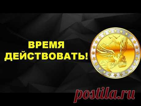 #Platincoin время действовать Alex Peinhardt Поправки в маркетинг плане на время предстарта PLC GROU - YouTube https://platincoinliders.com/?u=13  На моменте предстарта введены отличные возможности! Не воспользоваться ими - упустить время и доходы. Так же Alex Reinhardt рассказал что ждёт лидеров на верхней ступени.