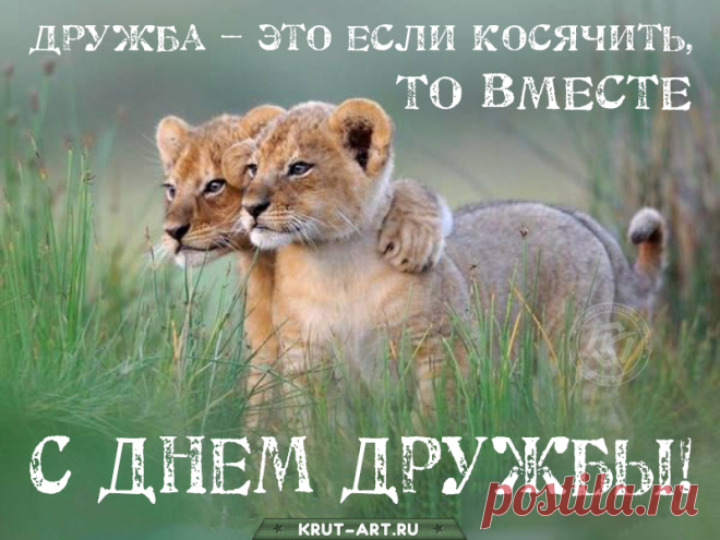 С Днем дружбы! Празднуют сегодня
Его народы многих стран.
Такою датой ежегодной
Добрей стать людям шанс был дан.