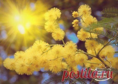 Уголок хозяйки