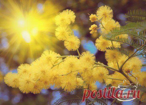 Уголок хозяйки