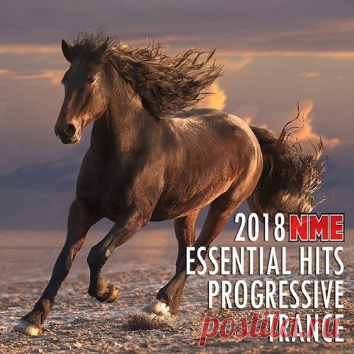 Essential Hits Progressive Trance (Mp3) Воодушевляющая электронная транс музыка с экстремальными ритмами и самыми эксцентричными мотивами была собрана в специальную тематическую коллекцию под названием «Essential Hits Progressive Trance». Альбом получился удачно органичным по звуковым качествам и продакшену. Каждая мелодия звучит