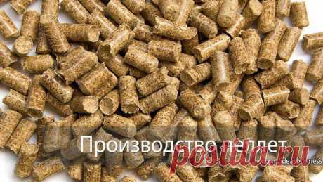 (+1) тема - Бизнес - идея: Производство пеллет | ДЕЛАЙ ДЕНЬГИ