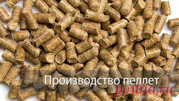 (+1) тема - Бизнес - идея: Производство пеллет | ДЕЛАЙ ДЕНЬГИ