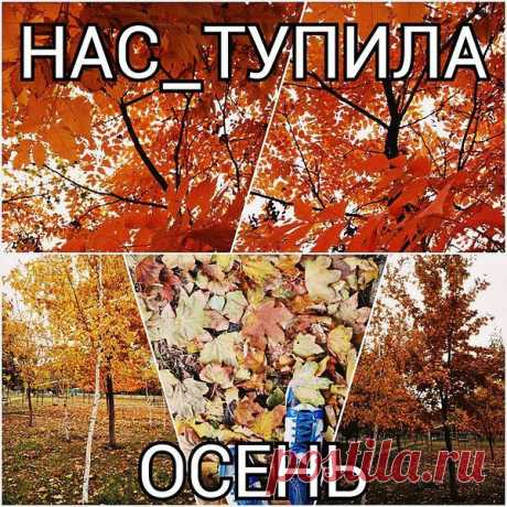 Женщина-осень исчезнет с листвой,
Серым дождём в неизвестность вдруг канет,
Женщина-осень была молодой,
Время проходит, и время обманет.
Женщина-осень — пример красоты,
Ярким нарядом украсит полотна,
Женщина-осень, боясь пустоты,
Ливнем стучится в закрытые окна.
Женщина-осень, какой макияж!
Губы упрямые в красной помаде,
Пудра и тени — её кaмуфляж,
Платье из шёлка, она при параде.