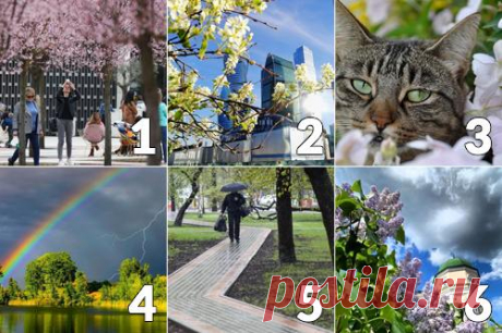 Гадание по картинке на МАЙ 2025 года