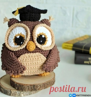 ​Сова крючком