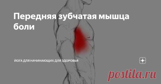 Передняя зубчатая мышца боли Статья автора «Йога для начинающих для здоровья» в Дзене ✍:  Триггерные точки передней зубчатой мышцы являются источником боли и функциональных нарушений в плечевом поясе и верхней части спины,...