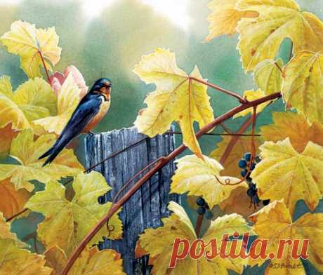 Пенье птиц... Художница Сьюзен Бордет (Susan Bourdet).