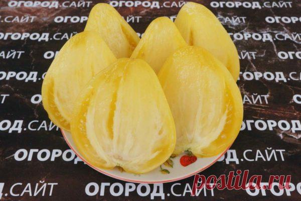 Томат Белое сердце Софии, семена | ОГОРОД.сайт