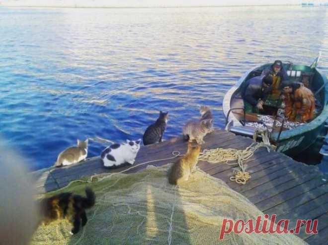 Рыбнадзор не дремлет