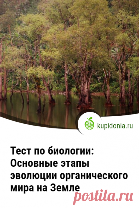 Тест по биологии: Основные этапы эволюции органического мира на Земле (Пасечник, 11 класс). Проверочный тест по биологии по теме «Основные этапы эволюции органического мира на Земле». Учебник В.В. Пасечник, 11 класс. Школьная программа.