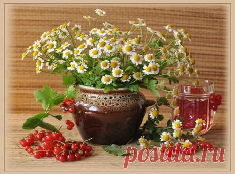 Натюрморты с ароматом Лета
