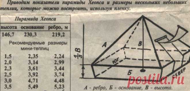 Пирамидальная теплица Урожай на даче