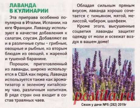 Лаванда в кулинарии
