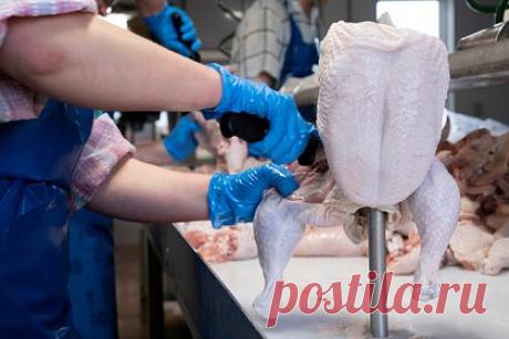 В России рассказали о замещении «ножек Буша» на рынке Китая. Россия активно наращивает поставки в Китай мяса птицы, рассказал председатель российской части Российско-Китайского комитета дружбы, мира и развития, бизнес-омбудсмен РФ Борис Титов. «Мы сегодня активно &quot;ножки Буша&quot; замещаем в Китае», — сказал он. Основным экспортером сельхозпродукции в страну пока еще остаются США.