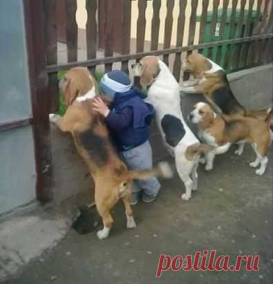 Во дворе с пацанами..