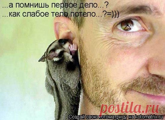 Ответы@Mail.Ru: Тело в дело?