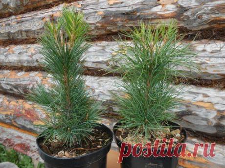 Идеи для дома и дачи, Дизайн-ремонт! | ВКонтакте