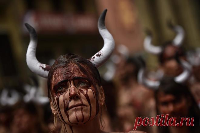 Десятки полуголых девушек устроили протест против испанского забега быков | Чёрт побери