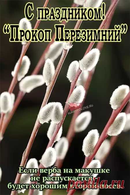 Прокоп Дорогорушитель! Здоровья и мира!