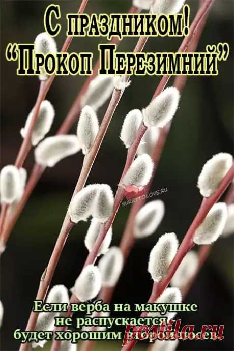 Прокоп Дорогорушитель! Здоровья и мира!