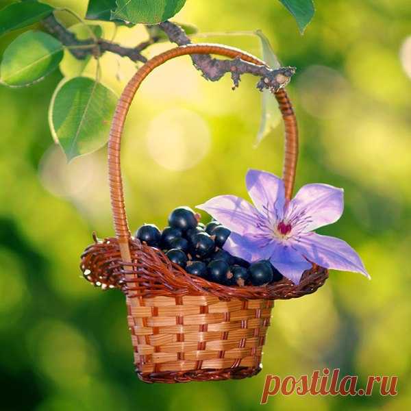 Какой сегодня праздник? 12 Июня 2015 г. – Пятница • Всемирный день борьбы с детским трудом (World Day Against Child Labour) 13 лет • День гуляния с воздушным шариком • День принятия Декларации о государственном суверенитете Российской Федерации (День России) 24 года • День рождения противогаза 166 лет • День влюблённых - Бразилия • День работника фондового рынка - Украина • День независимости - Филиппины • День мира - Парагвай • Именины у Исаакия, Иоанна, Онуфрия