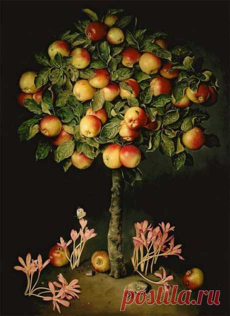 Художник Jose Escofet.