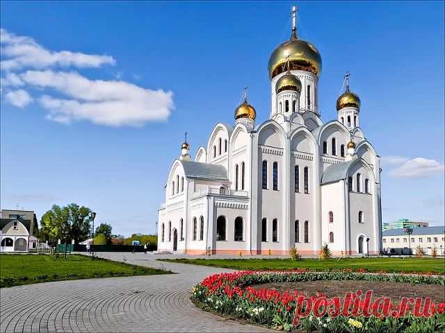 Поздравления и пожелания красивые форумы, картинки
АЛЕКСЕЙ СУХОРУКОВ