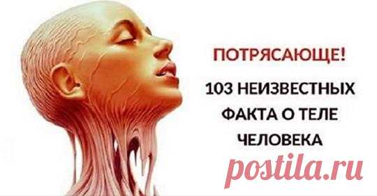 (73) Надежда Краковская