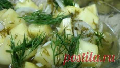 Кабачки как грибы на зиму, вкусный рецепт заготовки