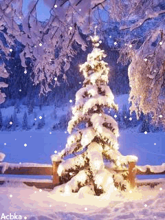 1202610.gif (240×320)