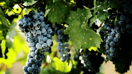 Мой Мир@Mail.Ru