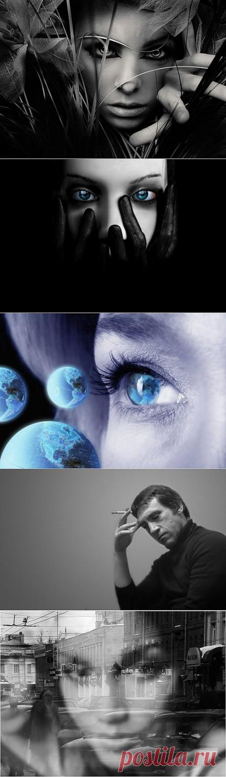 (+1) тема - Тайны взгляда! | НАУКА И ЖИЗНЬ