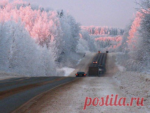 Где ещё такую осень можно увидеть, если не на Дальнем Востоке?