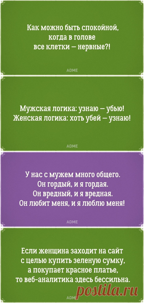 15 примеров женской логики, о которой слагают легенды