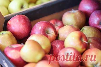 Россиян предупредили о проблемах с поставками продовольствия