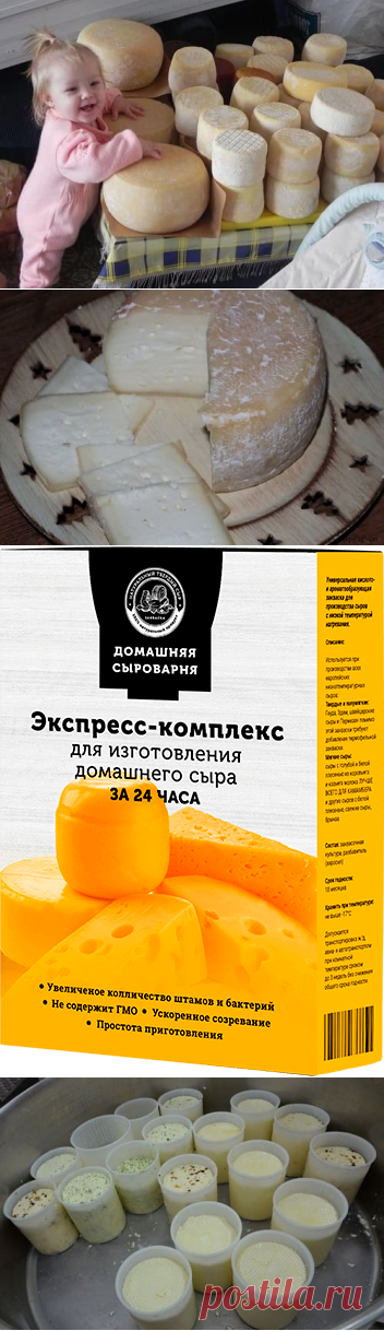 Домашняя сыроварня экспресс комплекс для изготовления сыра за 99 руб