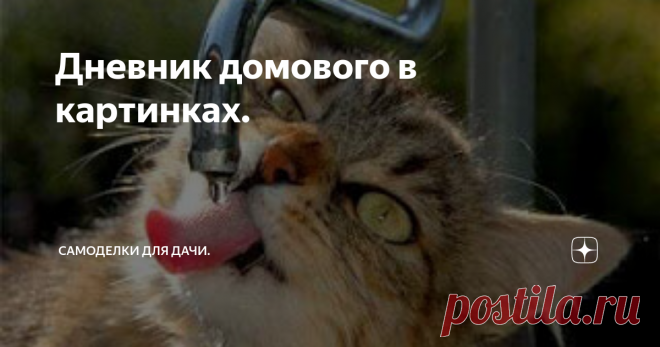 Дневник домового в картинках. Январь, февраль.
2 января. Ну вот и первое января! Стоп! На календаре уже второе. А когда было первое? По моему, Новый Год удался…
5 января. Доели последний тазик оливье. Хозяйка заперлась в тайной комнате. А я ведь говорил, что салат нужно в холодильник ставить.
6 января. Зинедин Зидан снова в нашей команде. Приехала прямо накануне Рождества. Очень символично! Привезла дары Волхвов в виде трёх